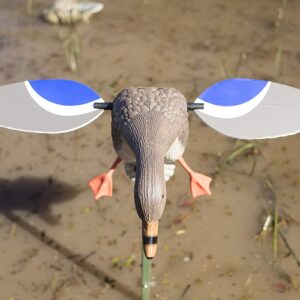 Cane colvert à ailes tournantes Baby MOJO 4