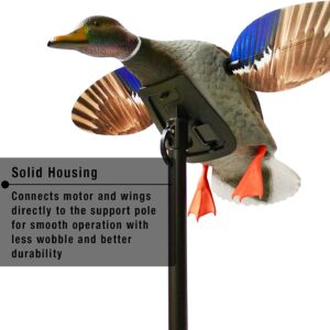 Mini canard colvert pour la chasse au canard - Mojo 2