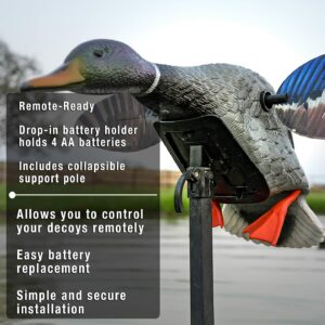 Mini canard colvert pour la chasse au canard - Mojo 5