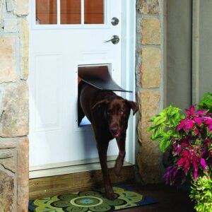 Chatiere-PetSafe-Staywell-en-aluminium-grande-3.jpg