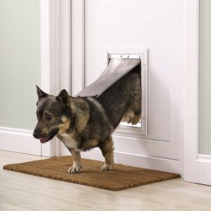 Chatiere-PetSafe-Staywell-en-aluminium-moyenne-2.jpg