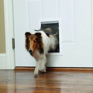 Chatiere-PetSafe-Staywell-en-aluminium-moyenne-3.jpg