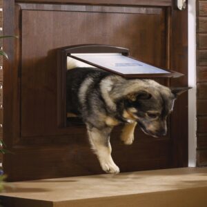 Chatiere-Staywell-moyen-chien-brun-3.jpg