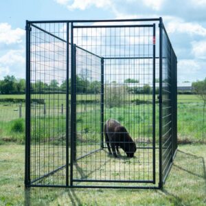 Chenil Modulable en panneaux pour Chiens & Chiots