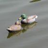 VARADOMO Canard d'étang, Canard de Natation, leurre de Canard, leurres réalistes en Plastique de colvert de Canard pour l'extérieur, la terrasse, Le Jardin pour la Chasse ou la pêche