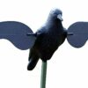 Mojo extérieur Corbeau Leurre