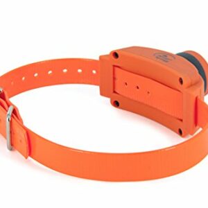 SportDOG - Collier de Repérage avec Beeper pour Chien, Compatible Système de Dressage SportTrainer – jusqu’à 100 heures d’autonomie – pour chien de + 3.6 kg - Orange