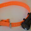 Sport Dog DSL-400-19 Beeper pour Chien