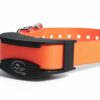 SportDOG – Collier de Dressage Supplémentaire Add-a-dog pour Chien SportTrainer 450 m / 700 m, Submersible, Etanche