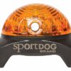 SportDOG – Localisateur Lumineux pour Chien, Lampe de repérage, idéal Chien de Chasse – Jaune