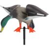 VARADOMO Piscine Flottante Canard Canetons Ornement De Bassin À Poissons Canard en Plastique Réaliste Leurres De Colvert Canard De Simulation Pneumatique De Moulage par Soufflage PE