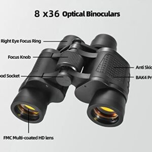 41THpkiexGL._SL500_.jpg