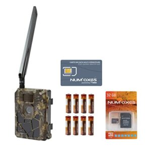 Caméra de Chasse Carte SIM Vidéo en Direct 4G 30MP 4K Étanche IP66 Vision  Nocturne Invisible Carte - Caméras de surveillance et pièges photo (9952514)