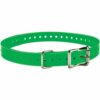 ACC,Collar Strap,3/4″,SQ-Buckle,Tuck-Ring,Nickel,Green
