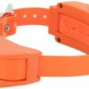 SportDog Collier Supplémentaire pour SD1875 pour Chien – Dressage et Beeper – SDR-ABE