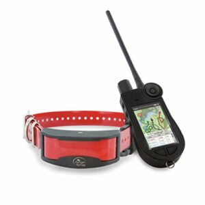 Traceur GPS chien longue distance - GEOVIE