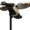MOJO Outdoors Elite Series Plongeur Bluebill – Canard de chasse, leurres de canard, accessoires de chasse, multicolore
