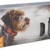SportDOG - Collier Traceur GPS pour Chien et Système de Localisation TEK Série 2.0 avec télécommande, idéal Chasse – Submersible, Rechargeable - 16 km de portée