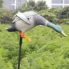 Leurre avec aile tournante volant leurre canard colvert, leurre en plastique épouvantail colvert canards jouets d’extérieur pour enfants pour l’extérieur, la terrasse, le jardin la chasse ou la pêche