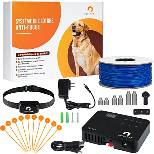 Accessoires pour dispositif Canifugue pour chien, fil, pile et collier