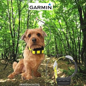 Garmin Radio Collier GPS, satellite, Témos pour chien, Chasse Athémos K5