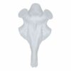 Euohunt Crâne synthétique en résine pour bois (cerf du pôle 40 mm)