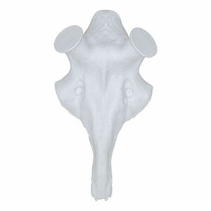 Euohunt Crâne synthétique en résine pour bois (cerf du pôle 40 mm)