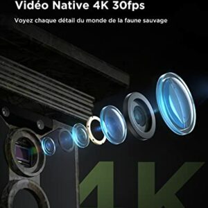 4103u6Lv7L._SL500_.jpg