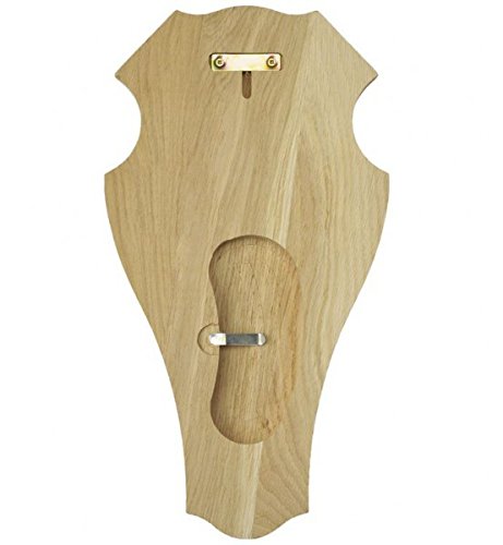EUROHUNT Le chevreuil Planchette de cornes pointe Chêne 19x12cm foncé avec Clip appartenant