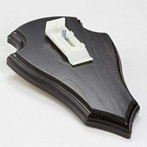 EUROHUNT Le chevreuil Planchette de cornes pointe Chêne 19x12cm foncé avec Clip appartenant