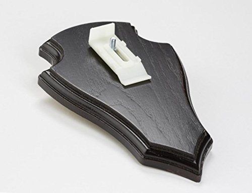 EUROHUNT Le chevreuil Planchette de cornes pointe Chêne 19x12cm foncé avec Clip appartenant