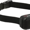 Collier supplémentaire, compatible avec tous les dispositifs d’entraînement à distance pour chiens DOGtrace