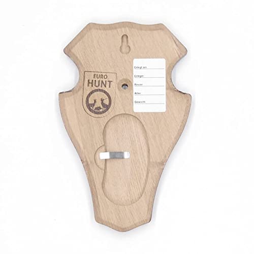 EUROHUNT REH Lot de 5 panneaux de trophée en chêne foncé AF 18,5 x 11 cm avec 5 pinces à cornes en métal