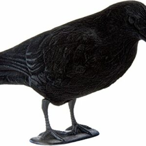 EUROHUNT Verrou avec Pied Flottant Noir