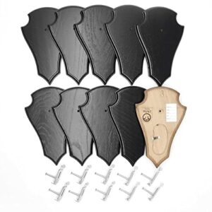 EUROHUNT REH Lot de 10 panneaux de trophée pointus en chêne foncé AF 21 cm x 13 cm avec 10 pinces à cornes en métal