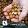 Black Fire Invisible - Attractif Invisible, 1.5kg Sac, Les bouillettes Invisible