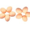Lot de 10 œufs factices en plastique œufs de nid faux œufs de poule œufs pour aider des poules à pondre œufs artificiels