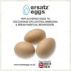 Ensemble de 3 œufs de poule factices pour inciter les poules à pondre, à couver ou les empêcher de picorer leurs œufs.