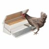 IDMarket – Mangeoire XL pour Poules Distributeur Automatique à pédale en Acier 5 KG