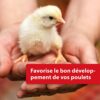 Quiko Hobby Farming Nourriture à Base d'Oeufs 2kg - Nourriture Riche en Protéines pour la Force & la Condition Physique des Poules, Cailles & Volailles comme les Poules Pondeuses - avec Vitamines