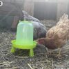 Mangeoire poules 2 kg, abreuvoir poules 3 L et pelle , distributeur automatique pour aliment volailles, poulailler et pondoir, vers de farine