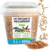 MeerBach & Rose vers de Farine Séchés dans Un Seau – 800g= 5000ml – Nourriture pour Poissons, Oiseaux Tortues, Hérissons, Rongeurs et Reptiles