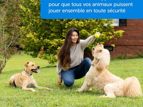 Clôture Anti-Fugue avec Fil pour Chiens et Chats