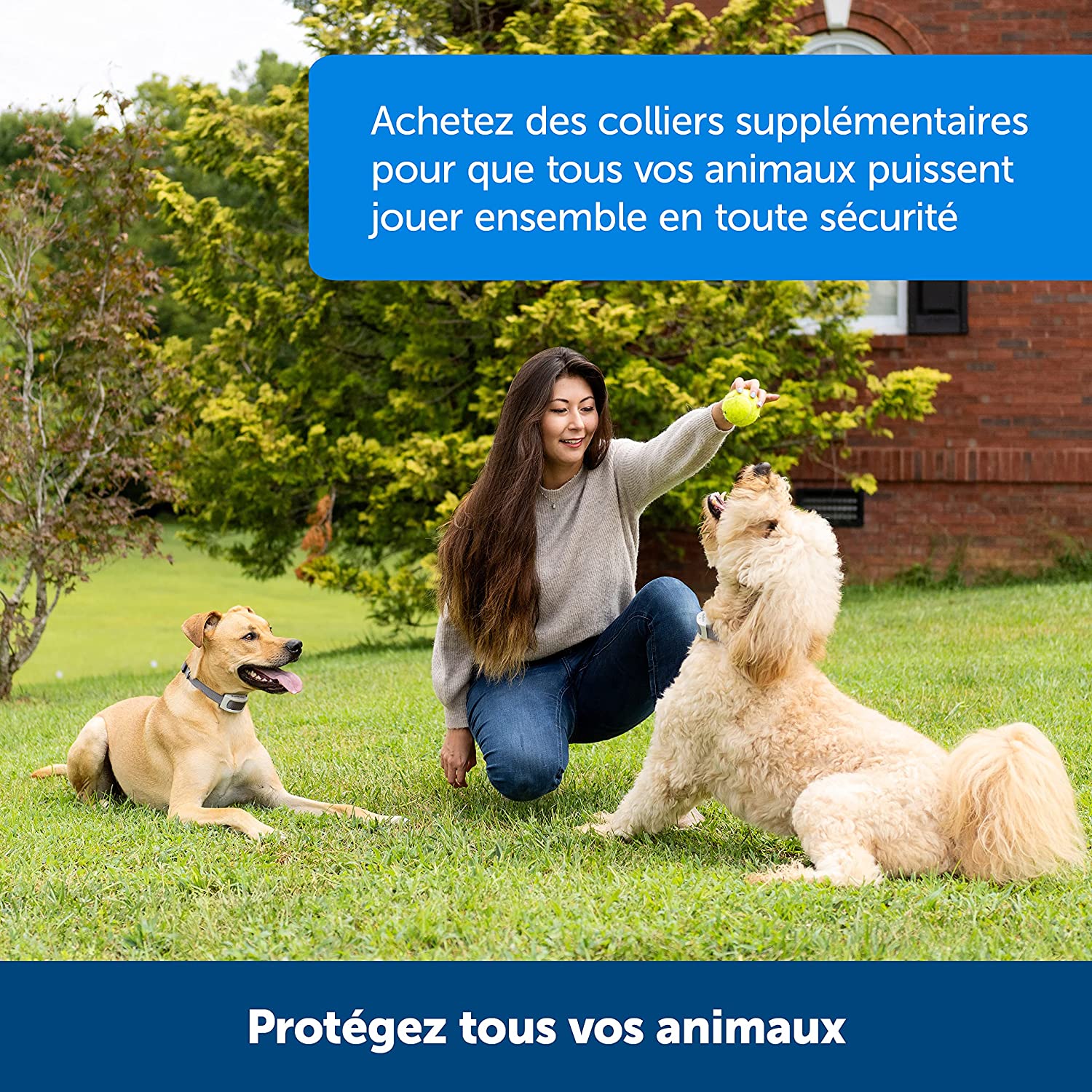 Délimité vos espaces pour vos animaux domestiques avec la barrière