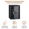 Amazon Basics Coffre-fort biométrique à empreintes digitales - 50 l