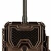 Bushnell – 119598 – Trophy Cam HD – Piège Photo Numérique – 8 MP