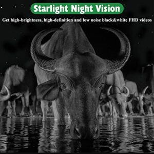 51V8fk4azrL._SL500_.jpg