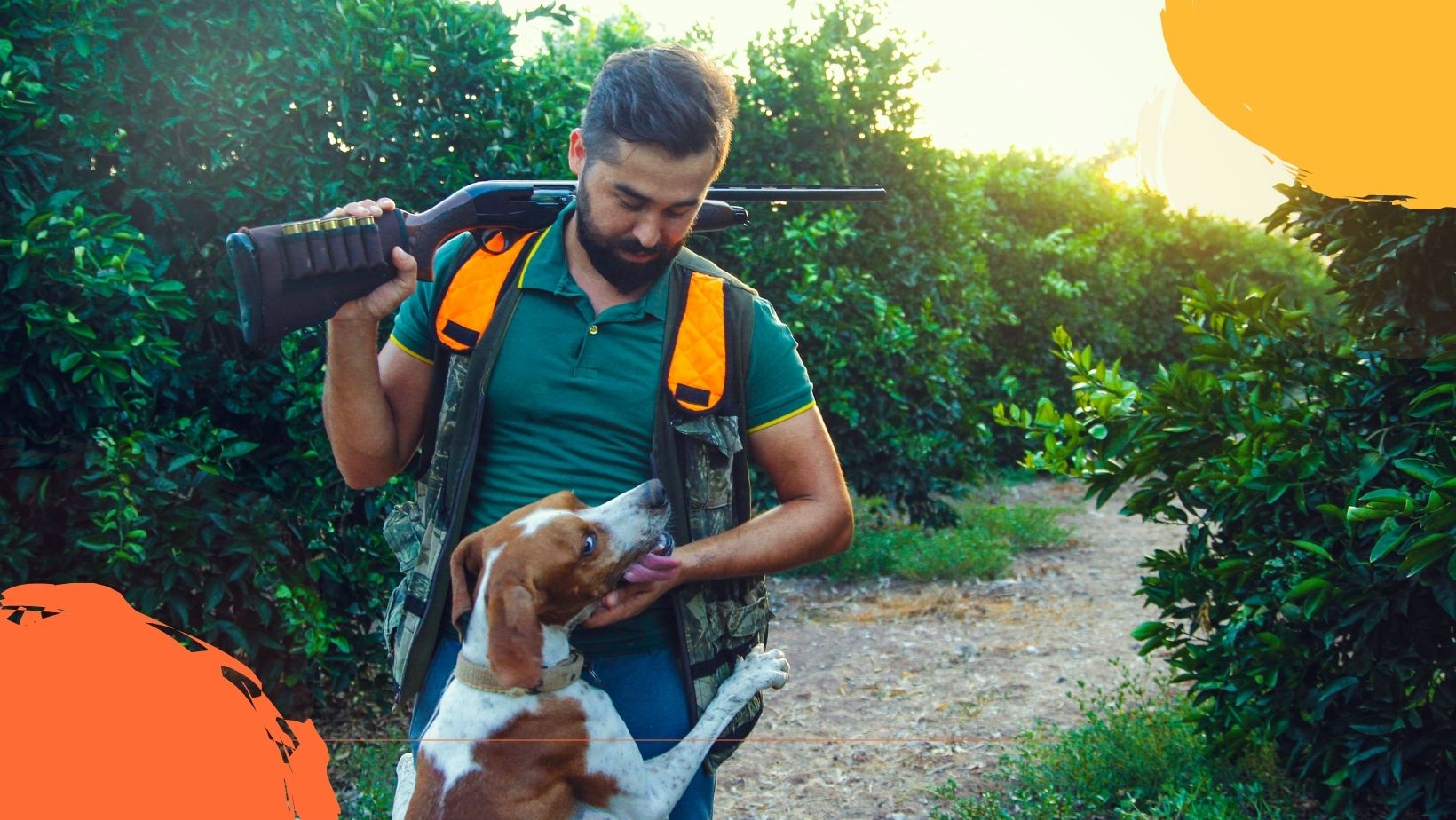 le chien se repose dans un hamac sur la nature. moment de détente