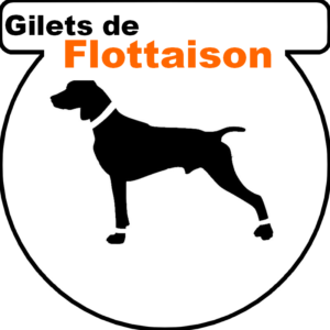 Flottaison