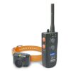 Dogtra RB 1000 Collier de Repérage, 3 Modes de Localisation avec Ecran LCD et Vibration, Étanche IPX9K, 4 Tonalites au Choix – Système 1 Chien – Portée 1500 m